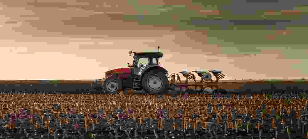 Pistachos Maná